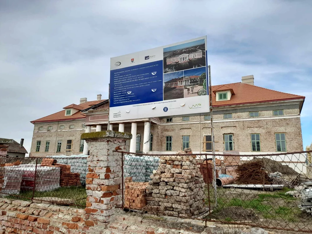 Restaurarea conacului Mocioni de la Foeni FOTO Ștefan Both