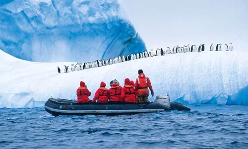 Antarctica: curiozităţi despre regatul gheţurilor jpeg