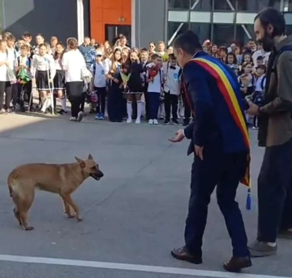 Un câine, vedeta deschiderii de an școlar la Iași. Patrupedul l-a eclipsat pe primarul Chirica