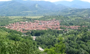 Armeniş se află la poalele Munţilor Ţarcului, unde zimbrii vor trăi în sălbăticie jpeg