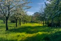 spring 4158957 960 720 jpg
