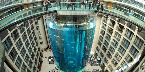 acvariu aquadom
