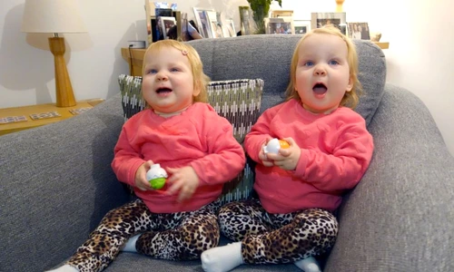 1 85429 original jpg jpeg