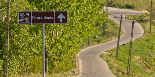 drumul vinului