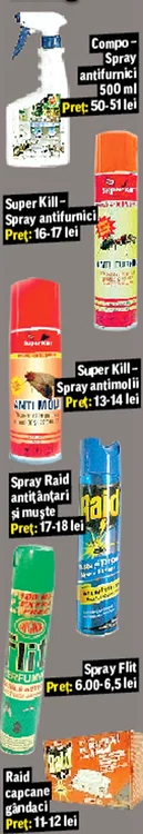 Locuri unde se pot ascunde insectele în casa ta (Foto: Shutterstock)