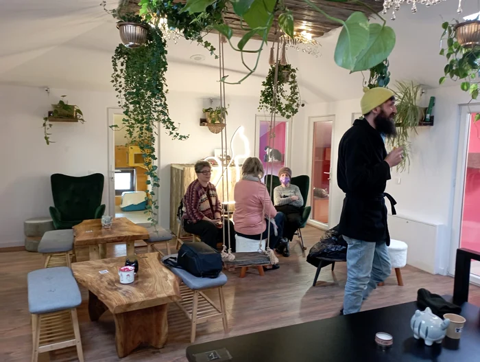 Cafeneaua în care pisicile și cafeaua devin o formă de terapie FOTO Cosmin Zamfirache
