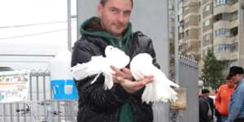 Bacau: PORTRET: Ciprian Capracea: „Aş vrea să fiu ca porumbeii mei“