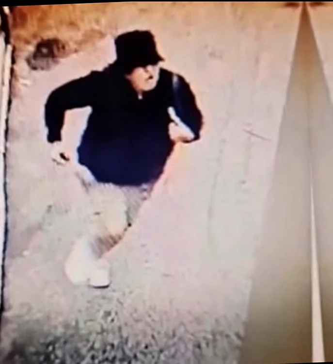 Principalul suspect în anchetă/ sursa TikTok