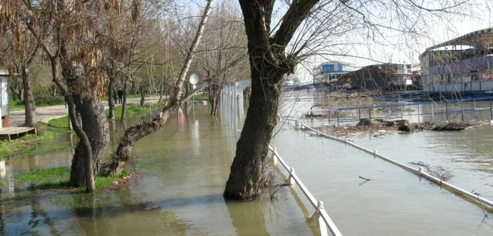 La multe din restaurantele de pe malul Dunării nu se mai poate ajunge din cauza nivelul crescut al apei Foto: Valentin Trufaşu