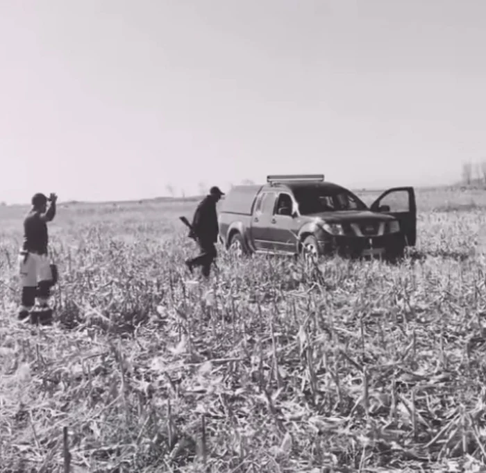 Cearta dintre cei doi protagonişti are loc pe un câmp FOTO Captura Video