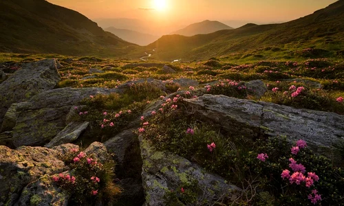 Adrian Titieni este naratorul România Sălbatică, cel mai complex film documentar despre natura din țara noastră    Prima coloană sonoră compusă pentru orchestră din ultimele decenii jpeg