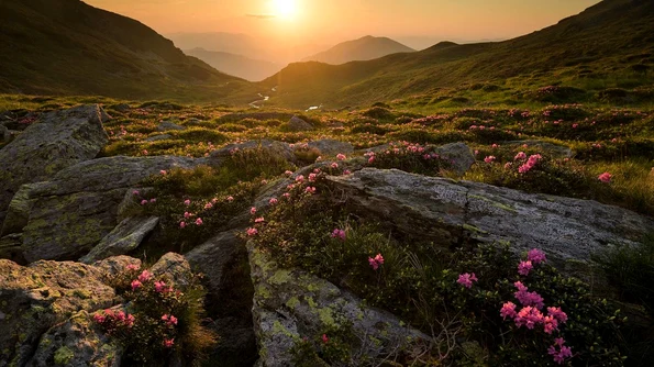 Adrian Titieni este naratorul România Sălbatică, cel mai complex film documentar despre natura din țara noastră Prima coloană sonoră compusă pentru orchestră din ultimele decenii jpeg