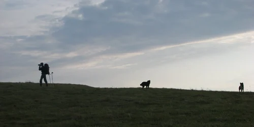 Căutările bătrânului continuă