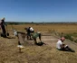 Săpături arheologice în situl de la Glina-Bălăceanca (© Muzeul Municipiului București)