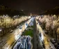 Lumini de Crăciun în București Foto Facebook CMIPB
