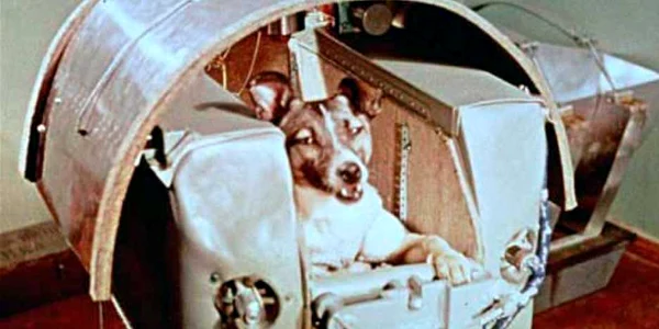 Laika 