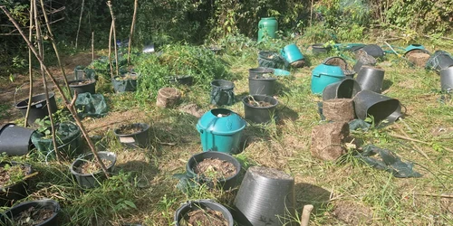 WhatsApp Image 2023 10 06 at 16 27 00 jpeg