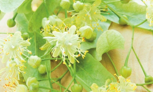 1 63597 original jpg jpeg