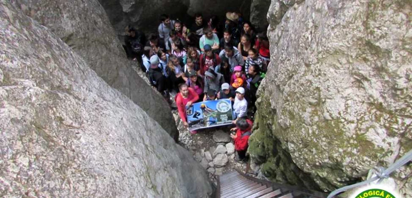 "Şcoala Curajului 2017" a fost cea de-a 74-a etapă a programului "Natura ne învaţă primii paşi în viaţă", care numără acum, nu mai puţin de 3772 de participanţi, în şapte ani de activitate