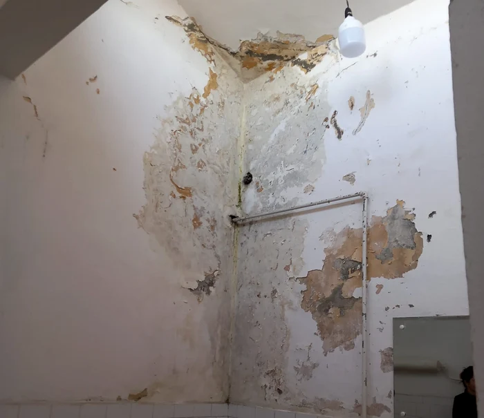Pereți plini de igrasie și muzegai FOTO: Protecția Consumatorului