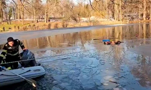 WhatsApp Video 2026 01 17 at 15 47 06 mp4 thumbnail png