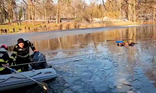 WhatsApp Video 2026 01 17 at 15 47 06 mp4 thumbnail png