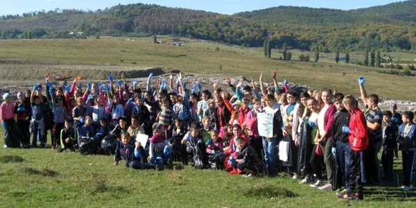 ecologizare