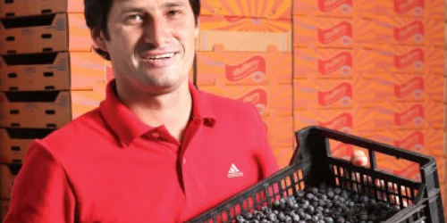 Culegătorul de afine