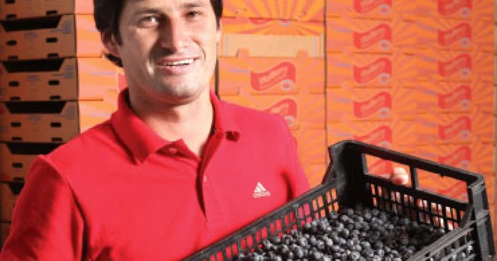 Culegătorul de afine