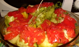 CLIIMA20120906 0012 1 jpeg