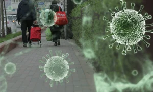 164718742 487562242422914 8761270254085733799 n png