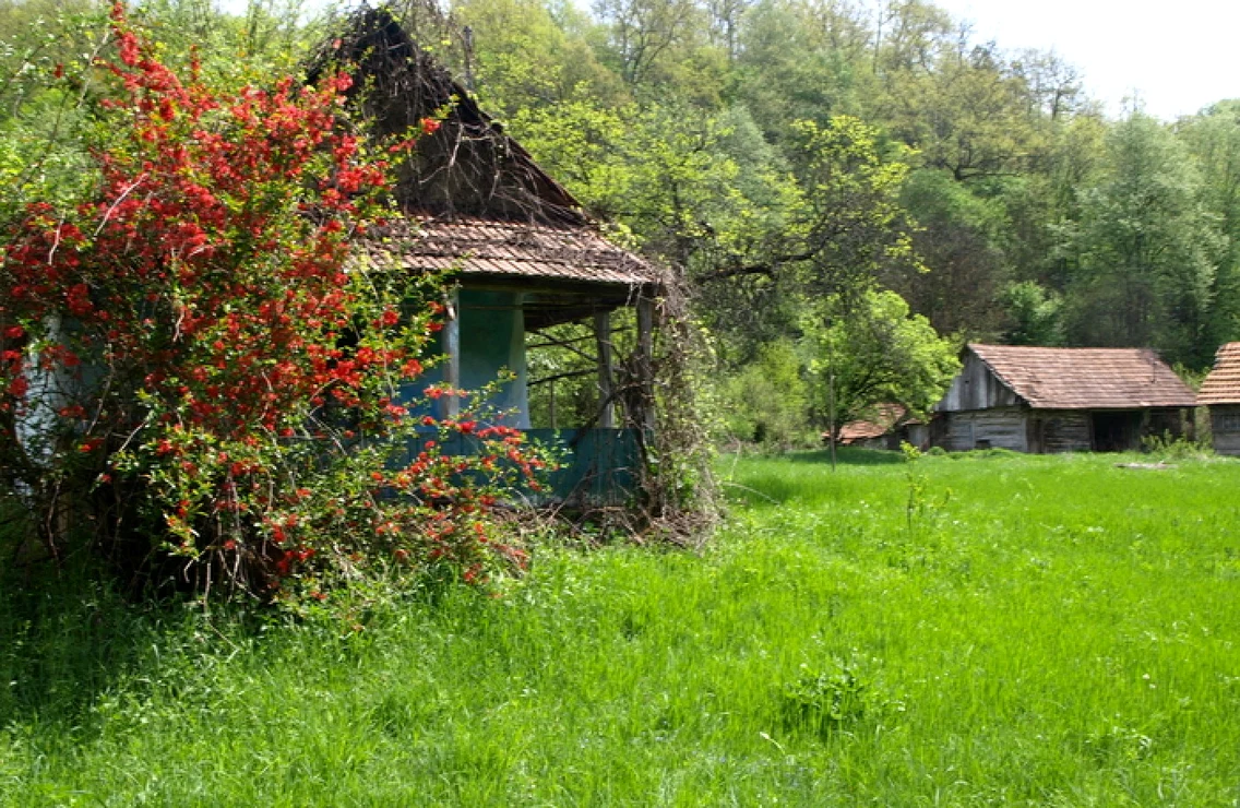 hunedoara gialacuta