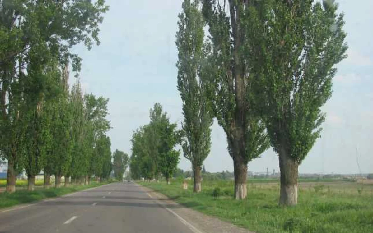 Intrarea în Călăraşi, dinspre Bucureşti. În zare, ruinele platformei siderurgice FOTO Adevărul