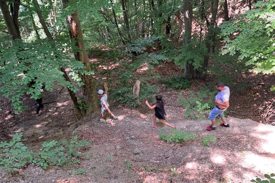 Pentru a ajunge la școală, elevii mergeau câțiva kilometri prin pădure Foto: Sorina Bunescu
