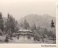Căi ferate forestiere din Valea Jiului Anul 1956 Foto Richard Marschalko (2) jpg