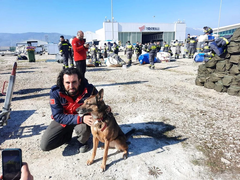 Zura, câine de salvare, trimis în Turcia Foto: Facebook