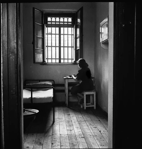 Children of Europe after War in 1948 7 1 0 jpg jpeg
