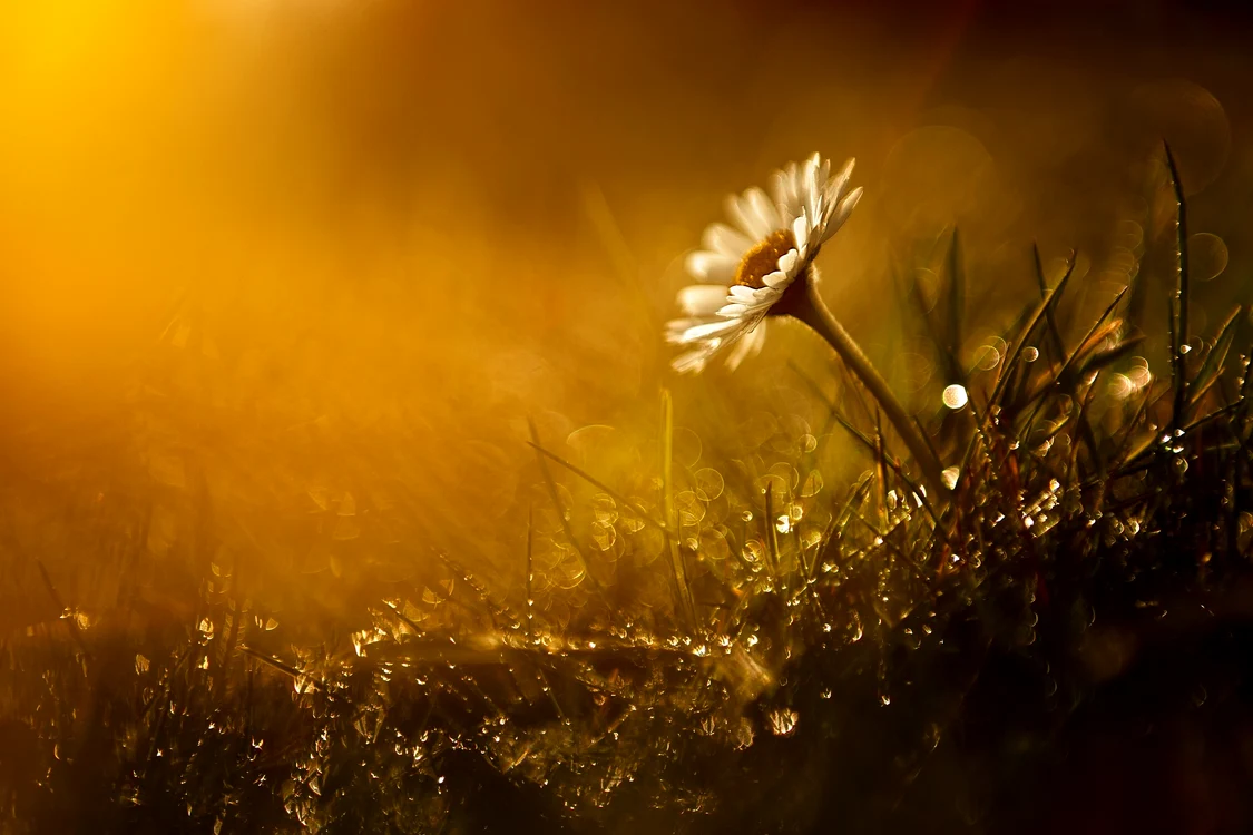 Vara aceasta va fi mai cald decât vara trecută / foto: Pixabay