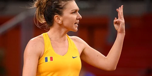 Halep Twitter jpg