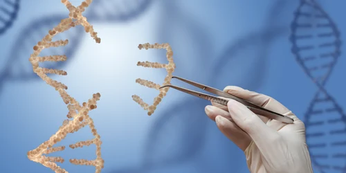 Modificare ADN FOTO Shutterstock jpg