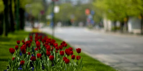 Oraşul florilor sărbătoreşte Floriile