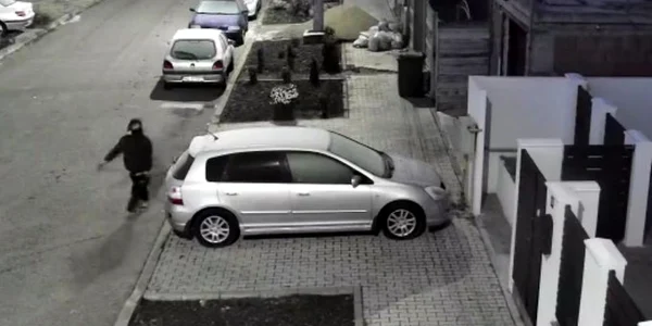spargerehd foto ipj hunedoara