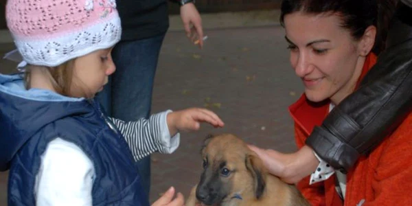 Campaniile de adopție încep în fiecare zi, la ora 12, în Piața Mare