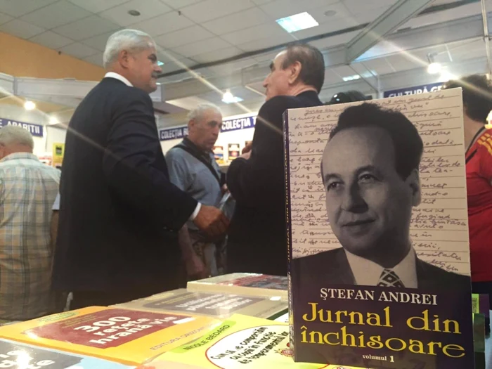 stefan andrei  jurnal