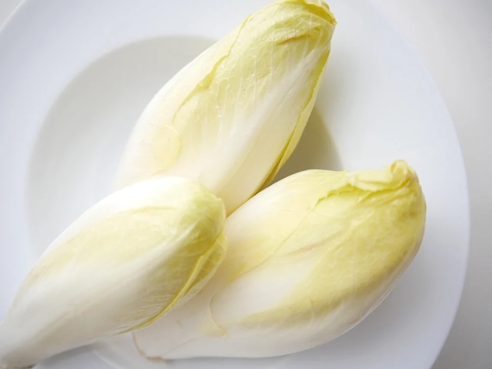 
    Andivele sunt legume mai puțin folosite la noi în țară, dar valoroase pentru sănătateFoto: pixabay.com  