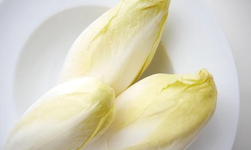 chicory 4045212 640 0 jpeg