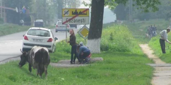 slobozia cazanesti