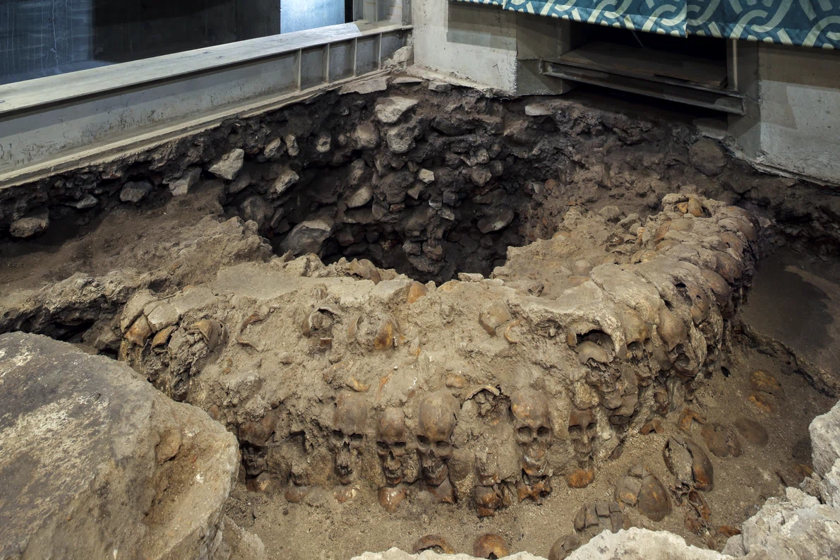 Foto 4  Torre de cráneos asociados al Huei Tezompantli de Tenochtitlan  Foto Luis Torres, INAH 0 jpg