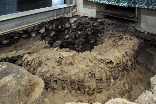 Foto 4  Torre de cráneos asociados al Huei Tezompantli de Tenochtitlan  Foto Luis Torres, INAH 0 jpg