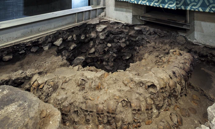 Foto 4  Torre de cráneos asociados al Huei Tezompantli de Tenochtitlan  Foto Luis Torres, INAH 0 jpg